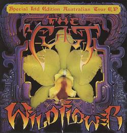 The Cult : Wild Flower